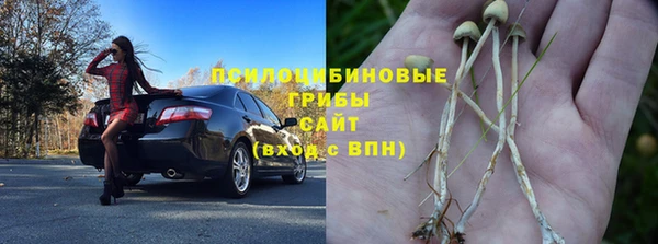 метадон Арсеньев