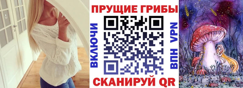 Псилоцибиновые грибы Cubensis  Купить где  Бирск 